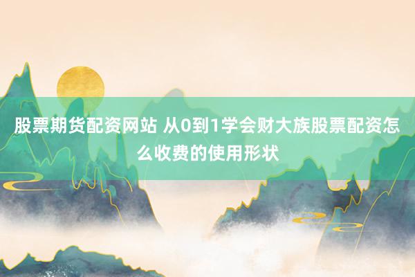 股票期货配资网站 从0到1学会财大族股票配资怎么收费的使用形状