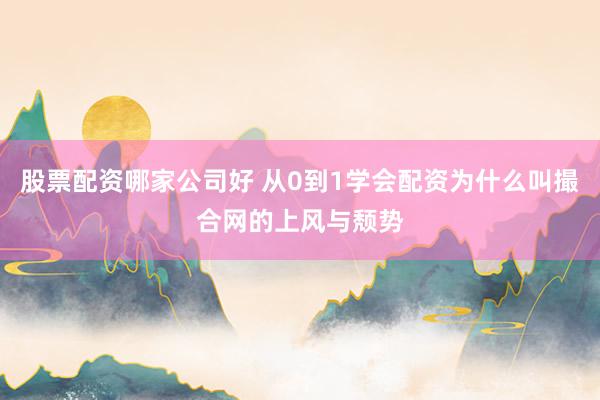 股票配资哪家公司好 从0到1学会配资为什么叫撮合网的上风与颓势
