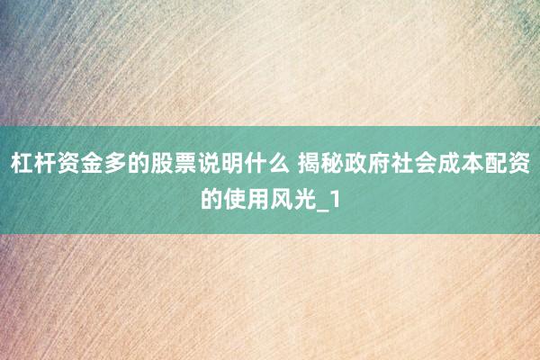 杠杆资金多的股票说明什么 揭秘政府社会成本配资的使用风光_1